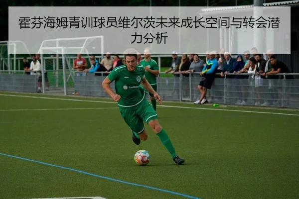 霍芬海姆青训球员维尔茨未来成长空间与转会潜力分析